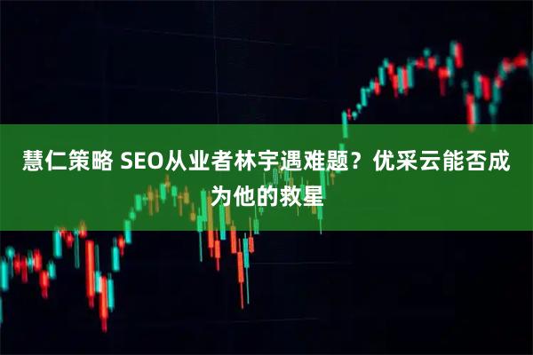 慧仁策略 SEO从业者林宇遇难题？优采云能否成为他的救星