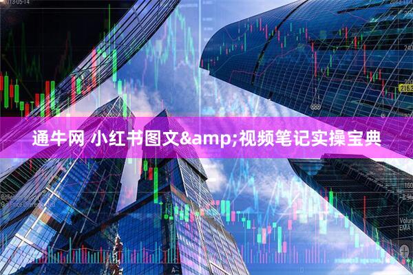 通牛网 小红书图文&视频笔记实操宝典