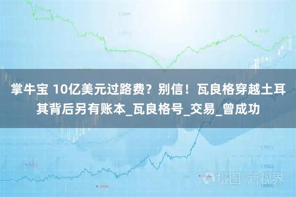 掌牛宝 10亿美元过路费？别信！瓦良格穿越土耳其背后另有账本_瓦良格号_交易_曾成功