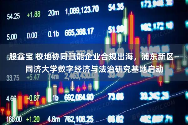 股鑫宝 校地协同赋能企业合规出海，浦东新区—同济大学数字经济与法治研究基地启动